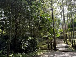 Rifle Range Road (D21), Detached #497212891